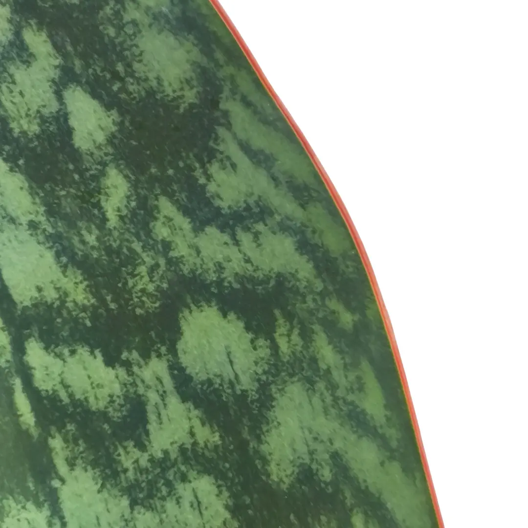 Сансевиерия Масониана Виктория/ Sansevieria Masoniana Victoria купить