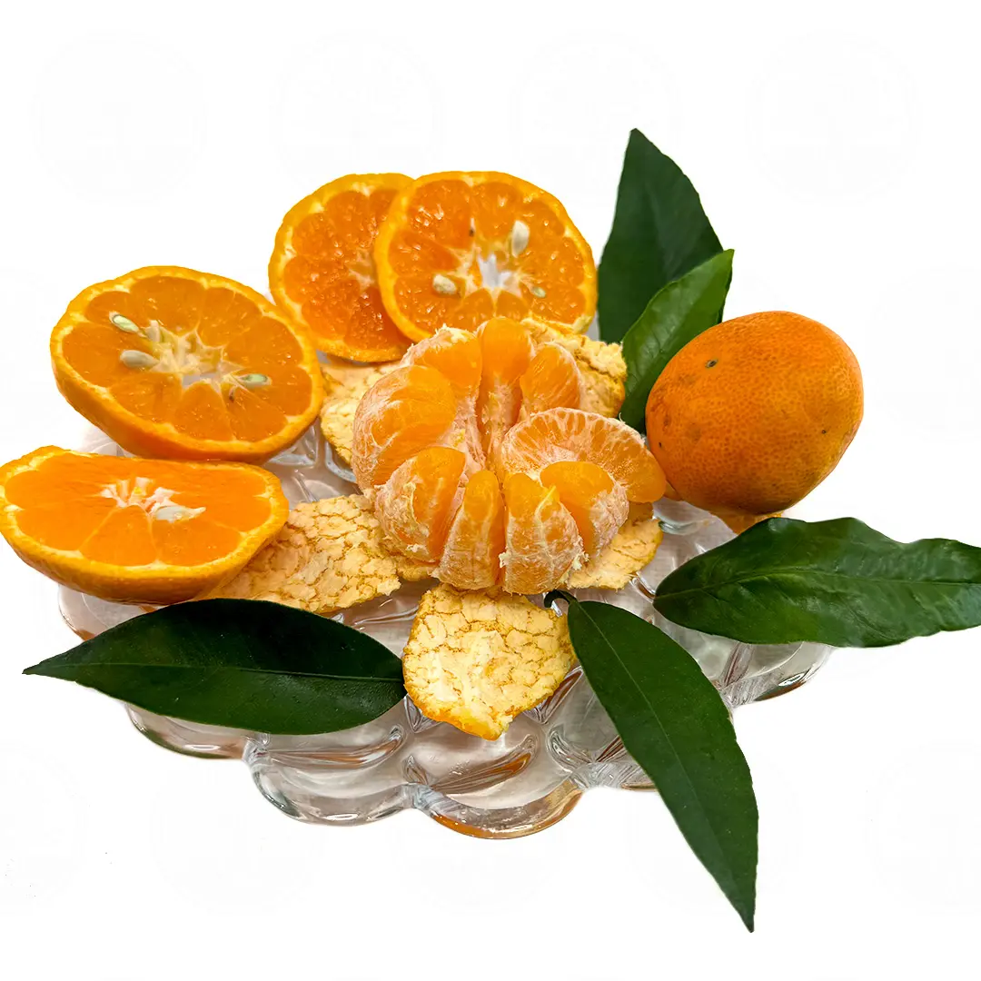 Мандарин / Mandarin — цитрусовое растение, детальное фото
