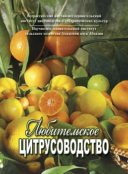 Любительское цитрусоводство
