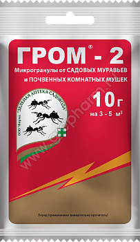 ГРОМ-2