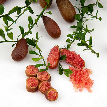 Микроцитрус Миа Роз / Microcitrus Mia Rose — цитрусовое растение, фото
